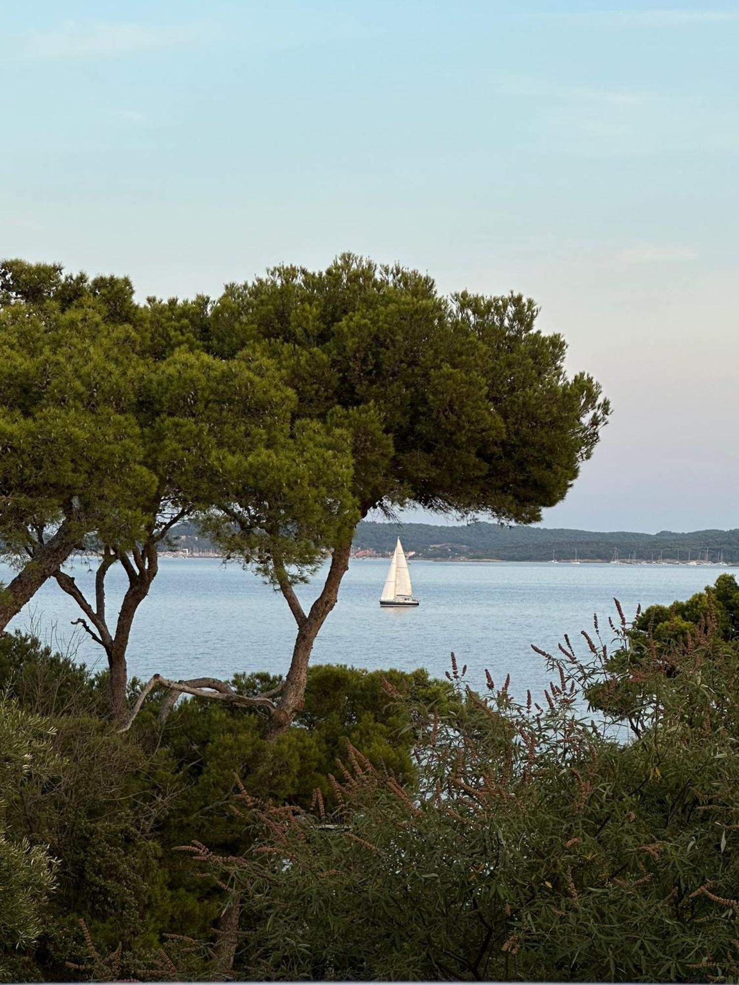 L'Instant Plage - Vue Mer - Bord De Plage - La Capte - Cote D'Azur Hyères Exterior foto